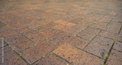 Paver brick floor, brick paving, paving stone or block paving. Manufactured from concrete or stone for road, path, driveway and patio. Empty floor in perspective view selective focus.