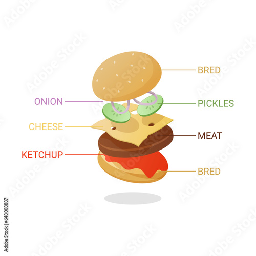 vector burger with cutlet and vegetables. infographics of the composition of a burger with cutlet