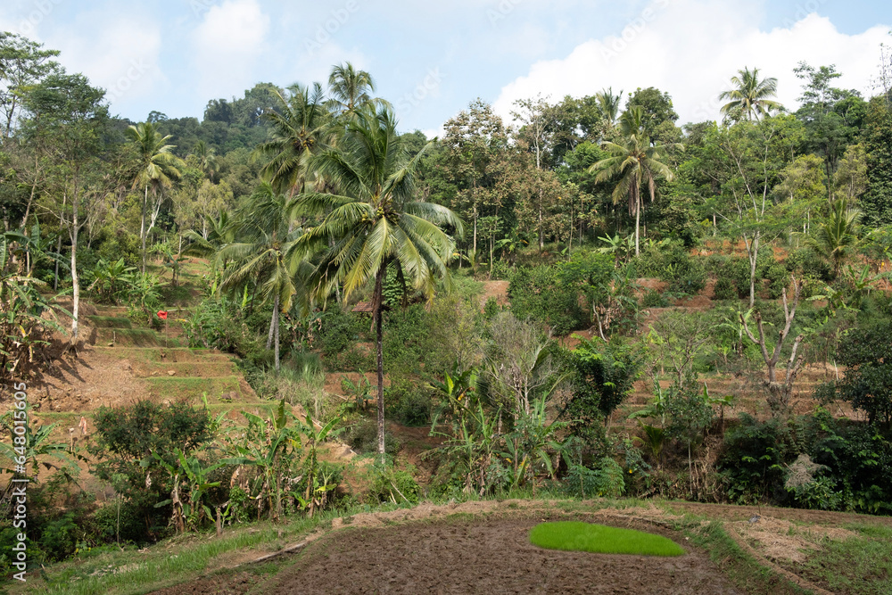 Kuningan west java ,beautiful scenery with cascading waterfalls Kuningan west java ,beautiful scenery with cascading waterfalls
