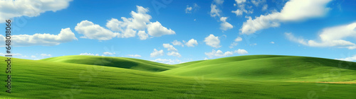 Ultra wide landscape with green grass field, blue sky and white clouds on a sunny summer day photo