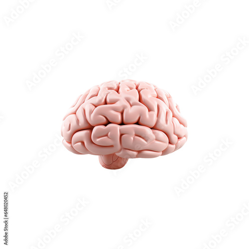 Brain isolated on white PNG transparent background