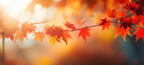 maple tree leaves fall autumn season, ai