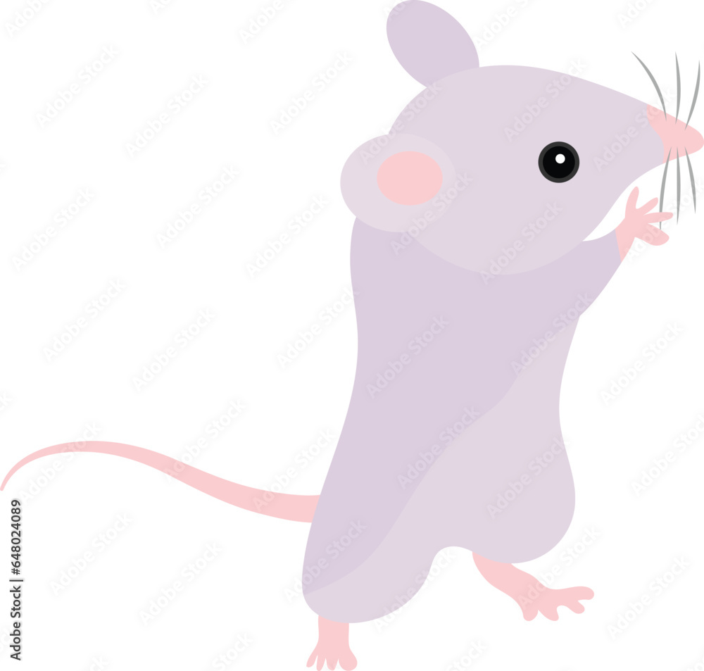 Fototapeta premium Mouse Vector image or clip art