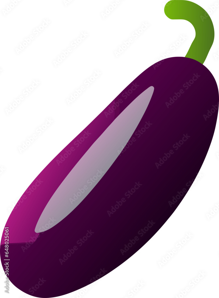 isolated eggplant fruit white background isolated eggplant fruit white background