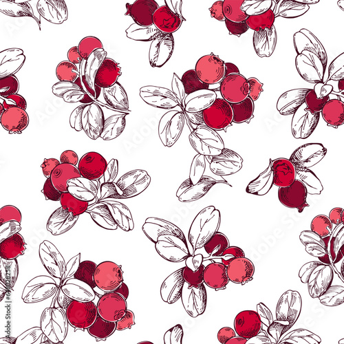 Lingonberry twigs with red berries. Seamless vector pattern with wild berries on a white background. Perfect for design templates, wallpaper, wrapping, fabric, print and textile.