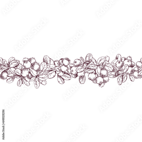 Seamless border with lingonberry twigs and berries . Vector illustration. Perfect for design templates, wallpaper, wrapping, fabric and textile.
