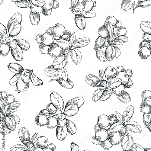 Cowberry plant seamless pattern background. Graphic sketch illustration. Vector. Black and white. Perfect for design templates, wallpaper, wrapping, fabric, print and textile.