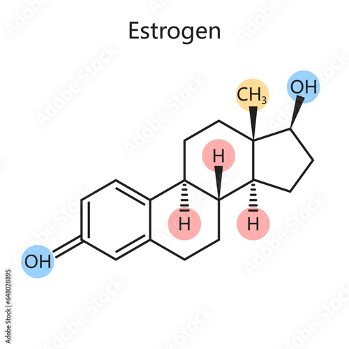 Chemical organic formula of estrogen female sex hormone diagram schematic vector illustration. Medical science educational illustration