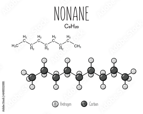 Nonane skeletal structure and flat model representation, isolated on a blank background. Vector editable