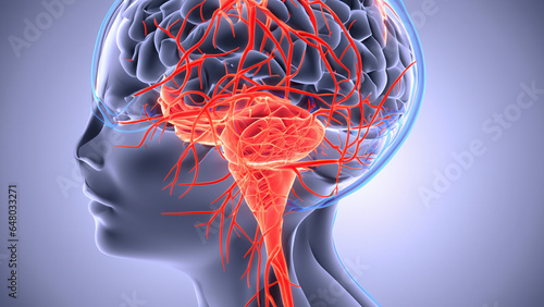 3D Illustration of human brain nerve tracts based on magnetic resonance imaging (MRI) data.