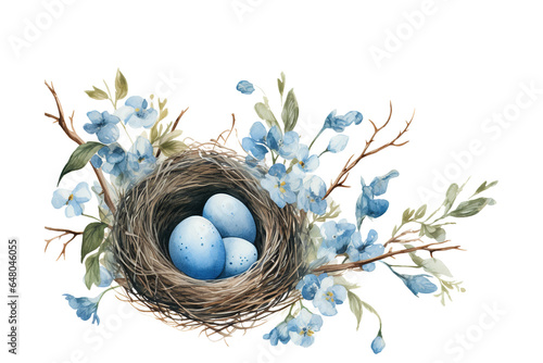 Watercolor composition  a bird nest with blue eggs photo