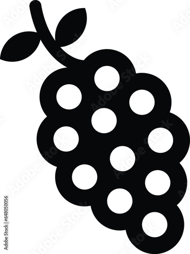 Grapes icon . Bunch of grapes with leaves icon . Vector illustration