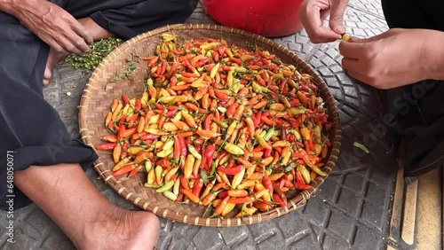 Sorting green, red, yellow and orange chilli peppers on the side of the street in Bandung, West Java, Indonesia. photo