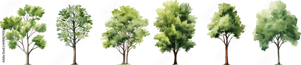 tree nature watercolor on a white background. Generative AI. tree nature watercolor on a white background. Generative AI.