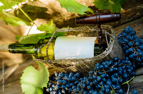 Bottle in the silver basket. Green bottle near with grapes and leaves. Mock up wine bottle with clean label for your logo and te (ID: 648060242)