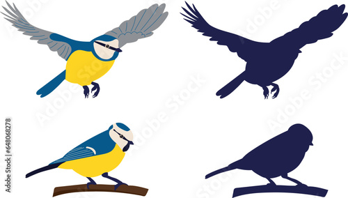 tits in flat style with silhouette on white background, vector