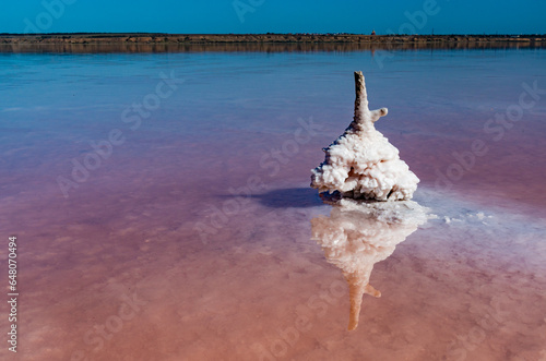 Salt Lake. Self-settling salt on wooden logs. Hypersaline water in a drying lake photo