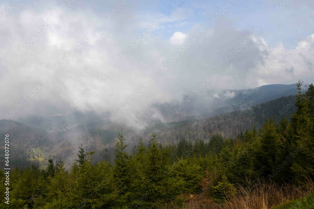Misty Morning Overlook at Nationalpark Schwarzwald, Black Forest National Park