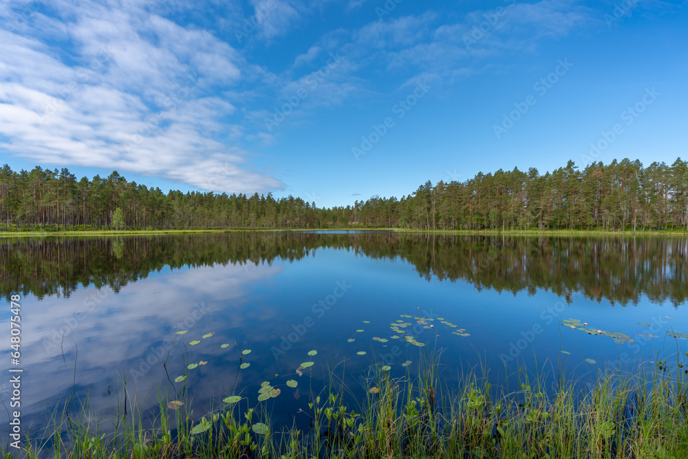 Beautiful lakeside view from the Swedish countryside