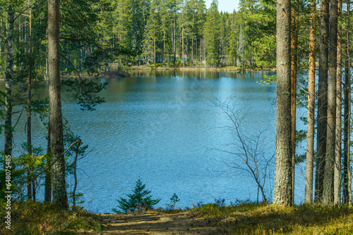 Beautiful lakeside view from a small lake in summer Sweden