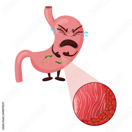 Crying cartoon stomach character with helicobacter pylori infection in mucosa layer under magnification