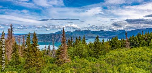 kenai peninsula backwoods high