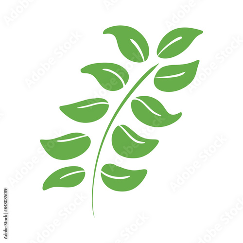 Plante verte