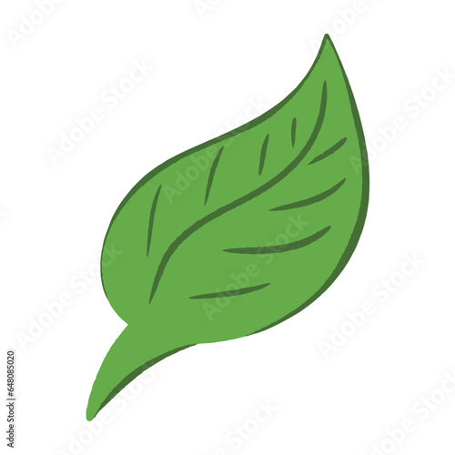 Feuille verte