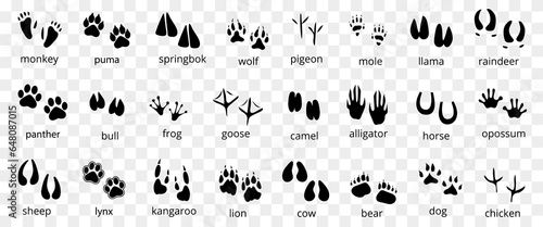 Animal imprint icons. Set of animal tracking footprints. Black animal and bird trace steps imprints silhouette