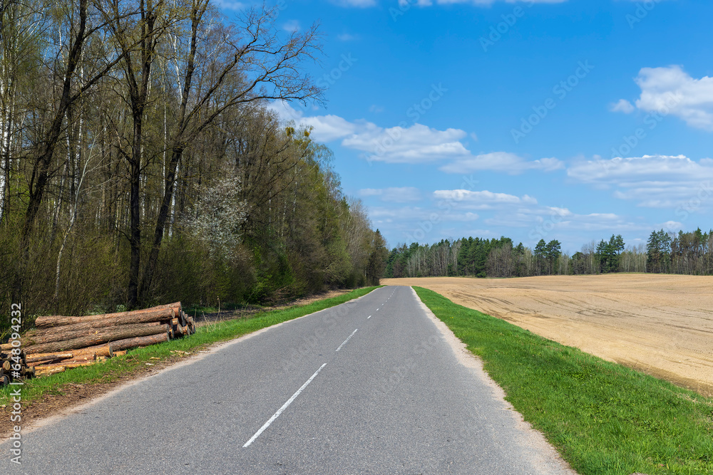 old paved road through forest and field in spring old paved road through forest and field in spring