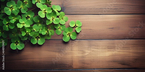 green plant on wooden background