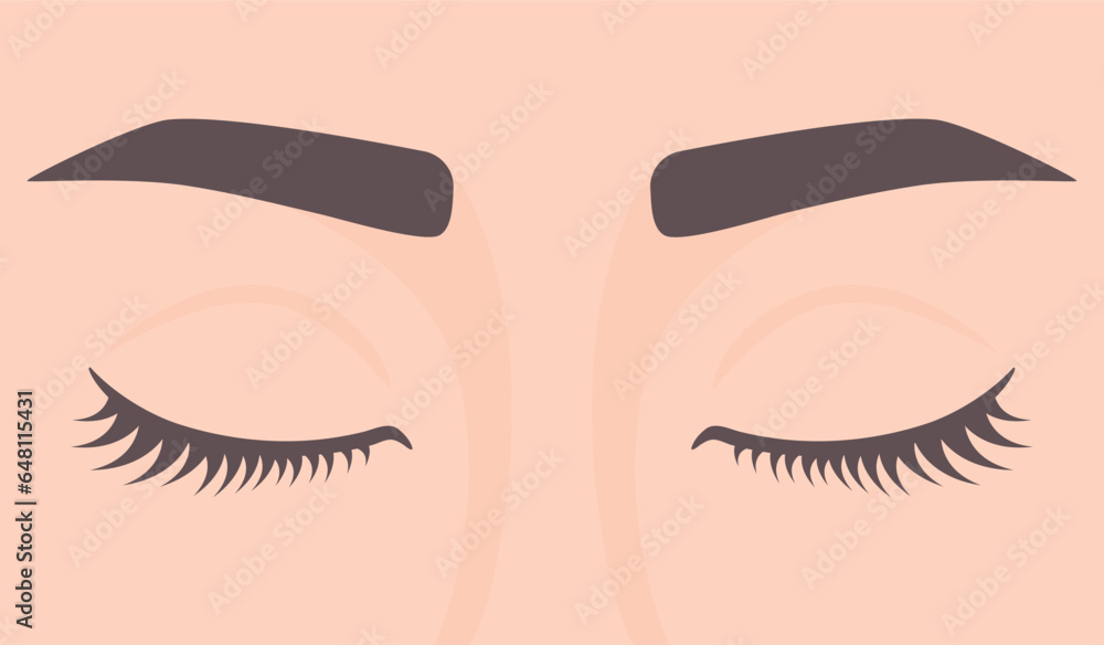 Woman with eyes closed. Closed eyes with lashes and eyebrows. Vector illustration Woman with eyes closed. Closed eyes with lashes and eyebrows. Vector illustration