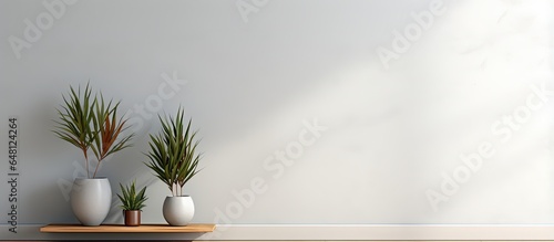 Simple plant arrangement in a room s corner