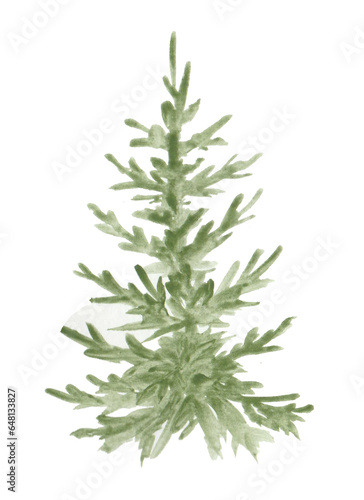Watercolor Christmas tree  isolated on white