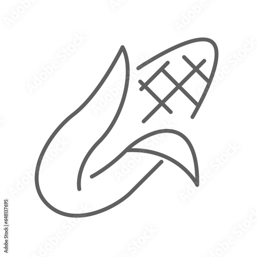 corn cobs icon. nature vegetable food. Vegetarian, vegan, harvest for topics like food, healthy eating, dieting. editable stroke. vector illustration. design on white background.