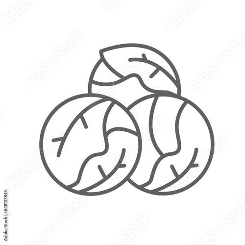 Brussels sprouts icon. Green Leaf vegetable. Cabbage nature food veggie, healthy diet vegetarian logo. Editable stroke outline style pictogram vector illustration design on white background.