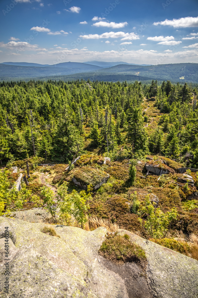 Summer view from rocky hill to spruce forest under blue cloudy sky