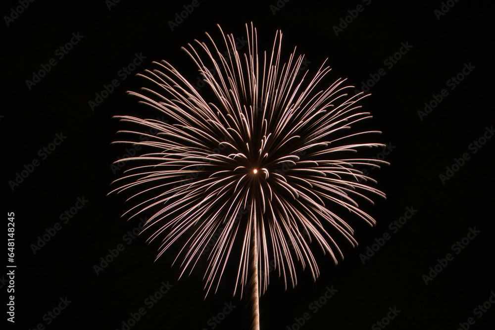 花火 花火