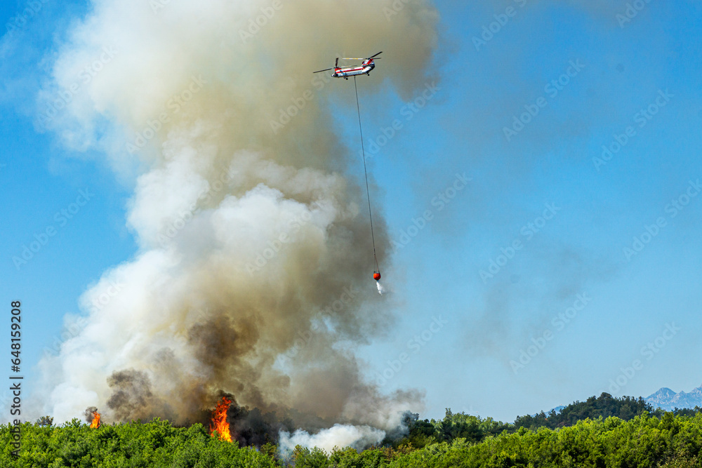 Fototapeta premium tragic view of forest fire and helibucket which is a specialized bucket suspended on a cable carried by a helicopter to deliver water for aerial firefighting 