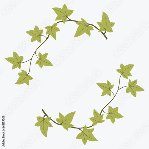 Floral ivy drawing decorative ornament flat design.
