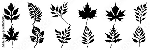 Leaf plant silhouettes set, large pack of vector silhouette design, isolated white background