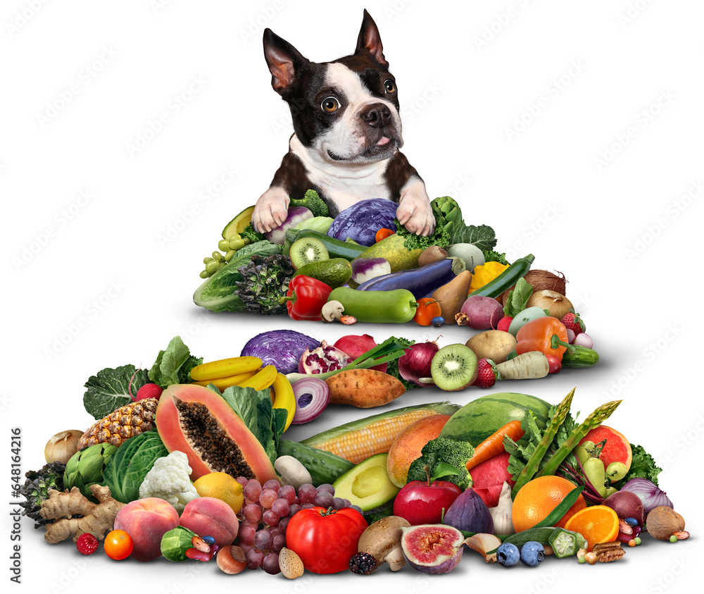 Vegetarian or Vegan dog Diet and canine vegetable and fruit Diet as
