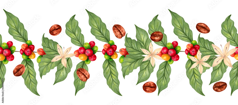 Horizontal seamless border of coffee tree branch and beans. Aroma of ...