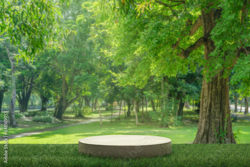 Concrete podium tabletop floor in outdoors fresh green leaf tropical forest nature landscape background.healthy natural product present placement pedestal counter display,spring summer concept.