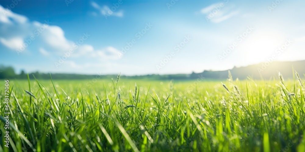 AI Generated. AI Generative. Green fresh grass field meadow with blue sky horizon background. Mock up inspirational wild outdoor nature. Graphic Art AI Generated. AI Generative. Green fresh grass field meadow with blue sky horizon background. Mock up inspirational wild outdoor nature. Graphic Art