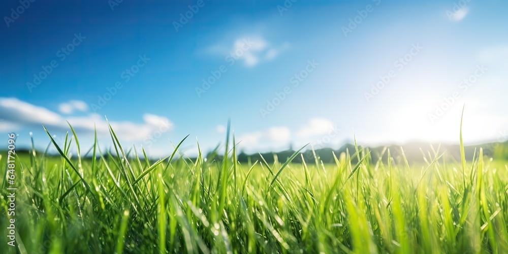 Fototapeta premium AI Generated. AI Generative. Green fresh grass field meadow with blue sky horizon background. Mock up inspirational wild outdoor nature. Beautiful chill relax countryside vibe.