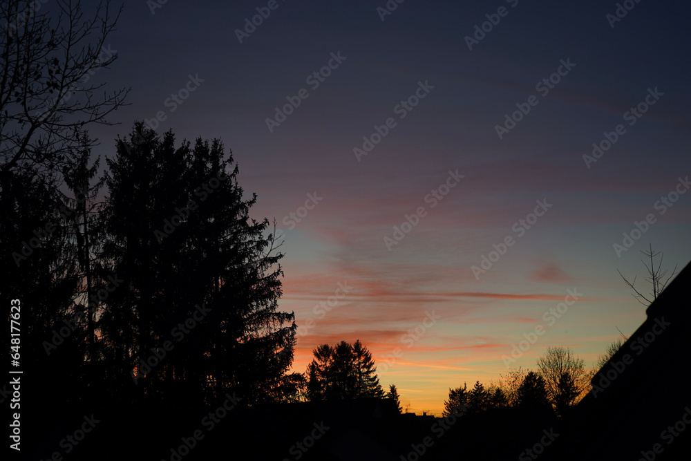 colorful sunset in the nature with tree silhouettes colorful sunset in the nature with tree silhouettes