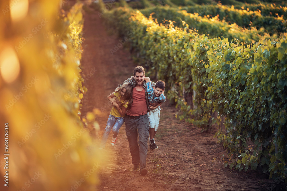 Obraz premium Young Caucasian father taking his kids through his vineyard