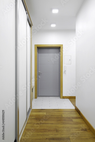 Entrance door inside an apartment with wardrobe