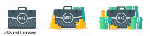 Mexican Peso Money Case Icons